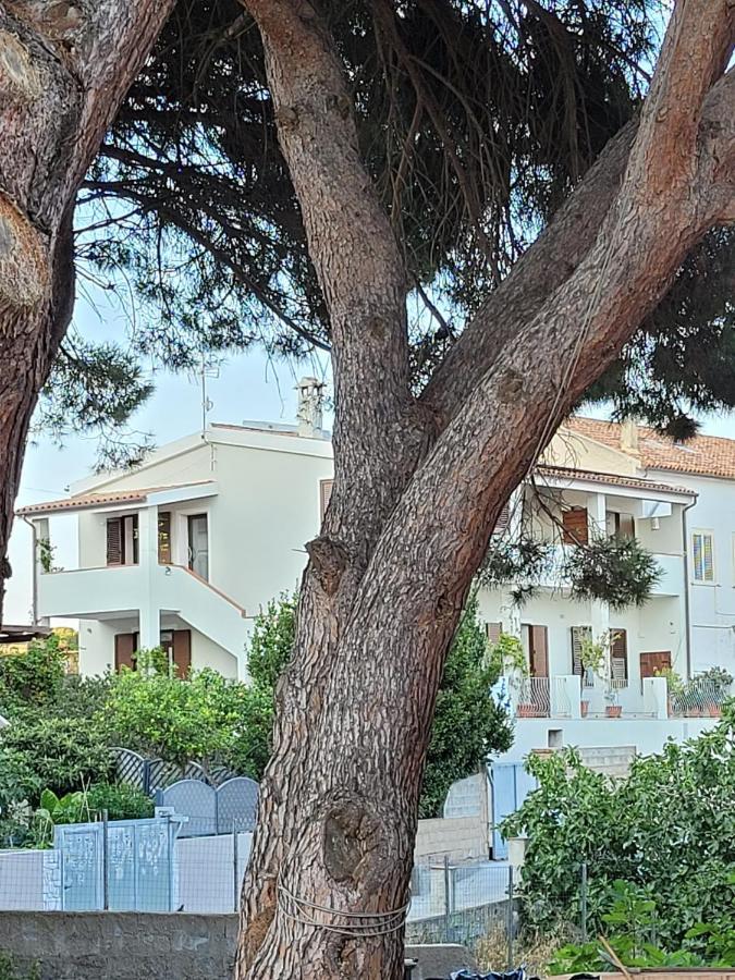 L'Asfodelo Bed & Breakfast La Maddalena  Ngoại thất bức ảnh